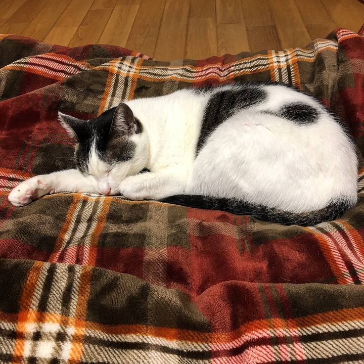 F345a7f7 0574 4c98 ada5 490ed19634b2 1702043222758