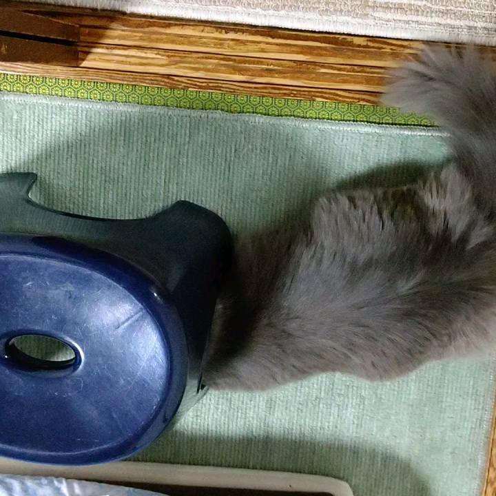 F345eea6 8c71 4c7d 83cc 675d3b48f1c8 1592219597019