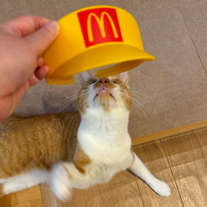 F345f94c ec2b 40e6 af9b 1e4fa22fc2d3 1727700087052