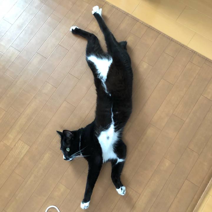 F3460ff6 45d0 4f22 84d3 1d8169a8f527 1597981853224