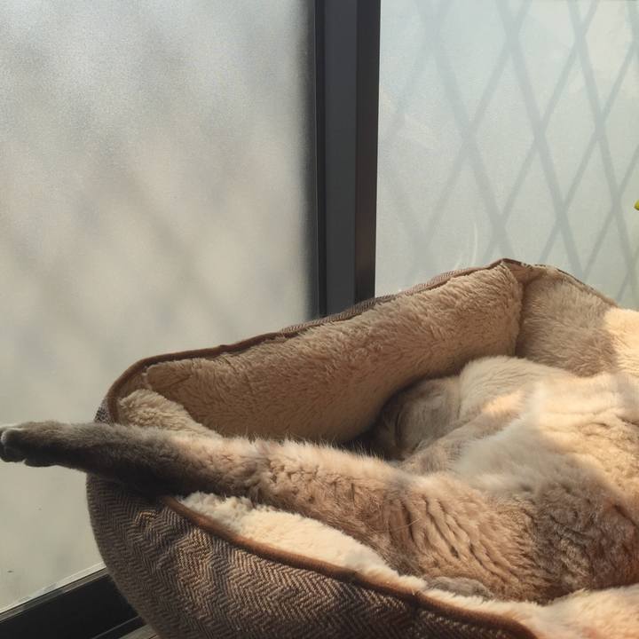 F34619dd 2d5b 4f9e b287 03e92f978031 1521949708333