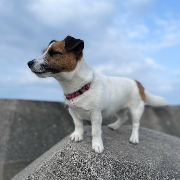 F3461d87 a729 41ba 80b5 8fd072477cd7 1743986592993