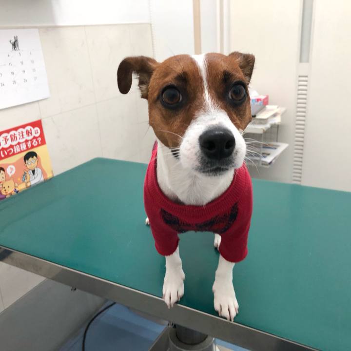 F3462433 ebd6 47da a71a 7c85c49a2731 1554805392529