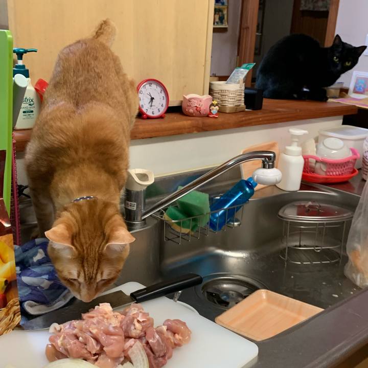 F3462447 45bb 450d 915f 66cf2912d221 1609155723828