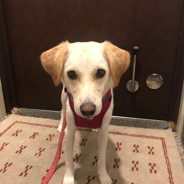 F346655c 76f9 47b6 9564 15b6e34c3094 1538408966443