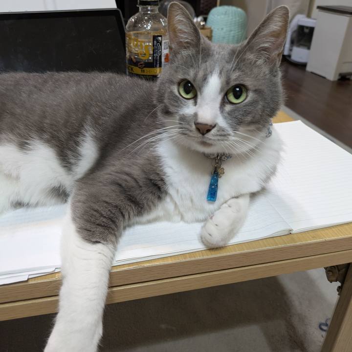 F346870f 6098 4212 bd9f 7cda29dc891a 1758714909010