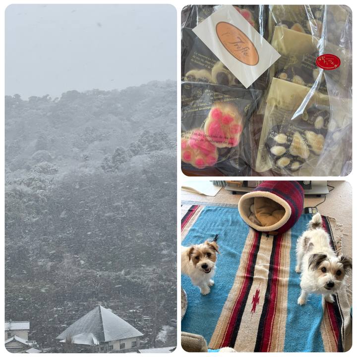 F3469fcf cb1e 42ea a2f9 b0cdf8249444 1770533241550