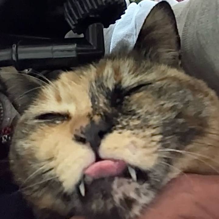 F346a2d9 8d98 4a3e b2b3 73ede35e1c9b 1739008835694