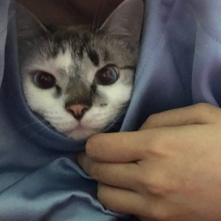 F346bfd0 0722 41e3 8d5d 5aba9542599a 1529403067778