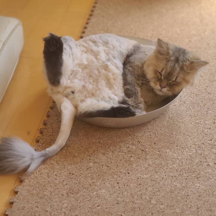 F346f886 eb2e 4927 ab93 52045a5d9b42 1695951096712