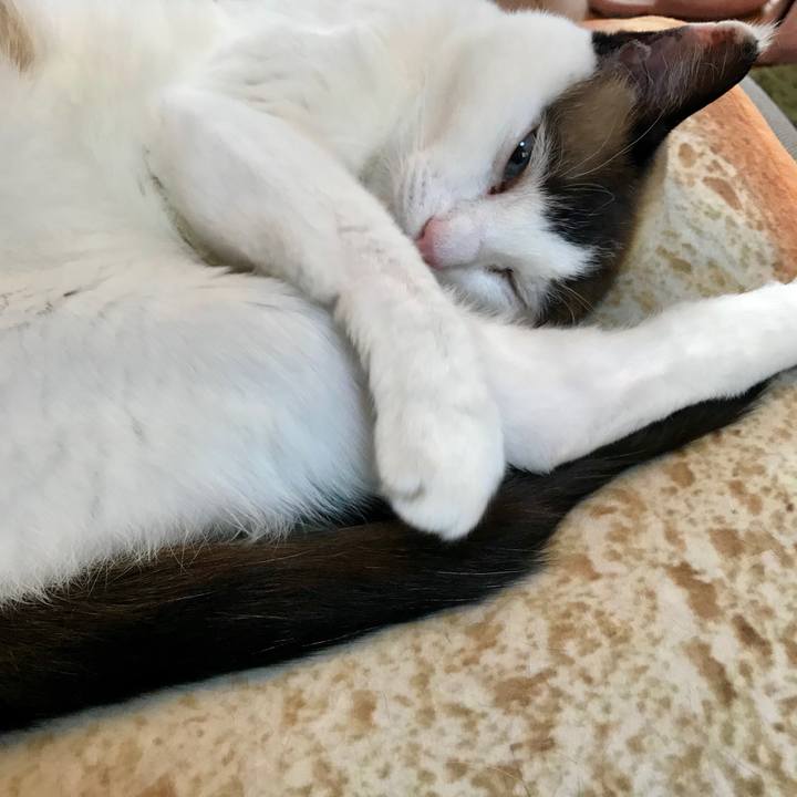 F3471704 d2fc 432d bea2 ec7cf7f35adc 1555054892718