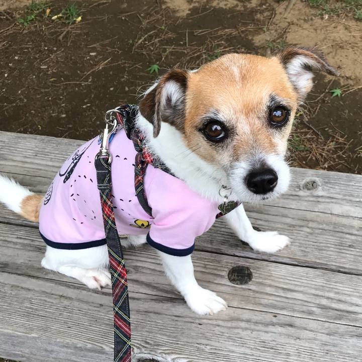 F3472317 2342 4922 b9a9 16df73f73aff 1559030521768