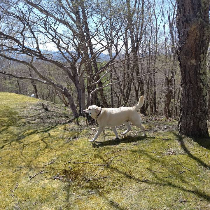 F3475904 ecb1 4728 b8c7 c89eae1b27af 1683630702825