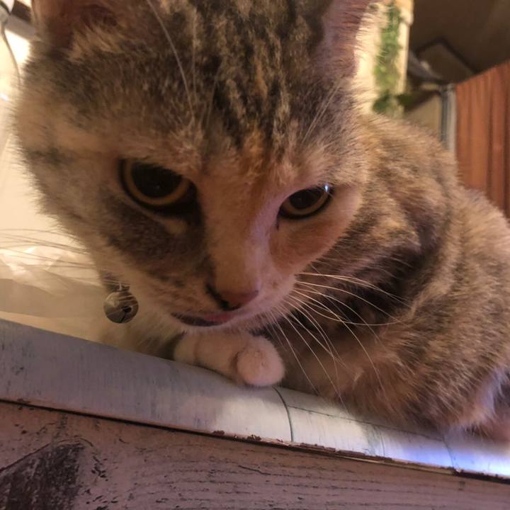 F3475b8c ec4f 47f4 a4e8 280375886f23 1570173804555