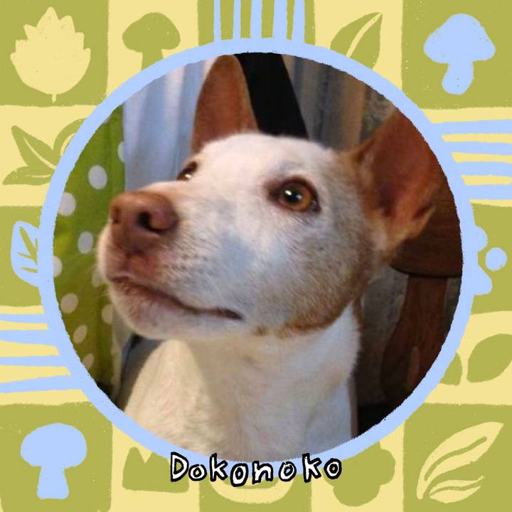 F3475f97 1f33 4eb1 b63d f45212a6338e 1762639806059