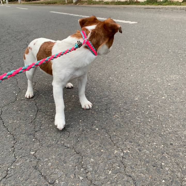 F3479756 34f7 46fb bf48 4a5854aa5bfa 1552815511758