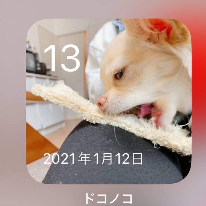 F347bcbf 1312 487b 80d8 d9202d543951 1705116434086