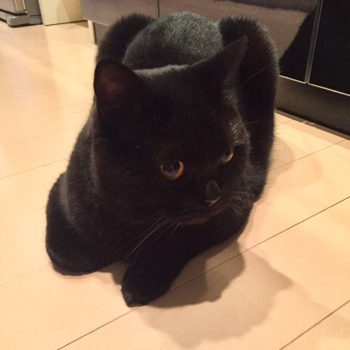 F347d28a 0c49 44dd 9d87 dbcd248fe0c5 1542375454287