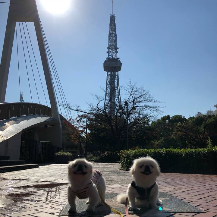 F347e781 b8de 45be 8d95 2060d6d3c5ee 1541820621814