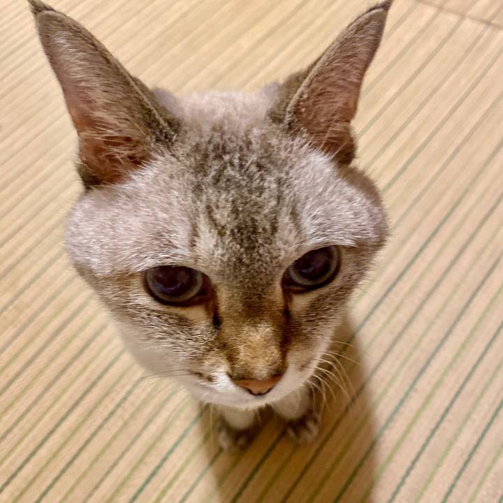 F347ecc4 24a5 4207 8b05 d726059b41c5 1598613753449