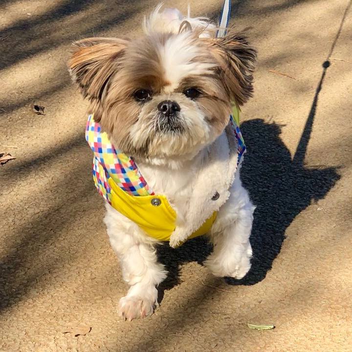 F347fb9a 00d1 46e9 85e8 491c1f5740d6 1546487710533