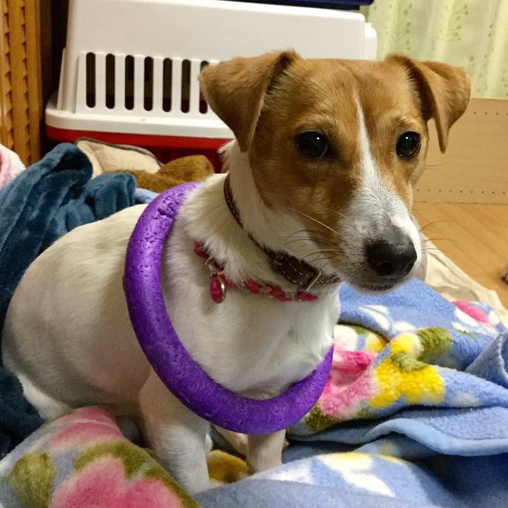 F3480a60 e5dc 4ed8 95fd e111beaeb935 1518178949640