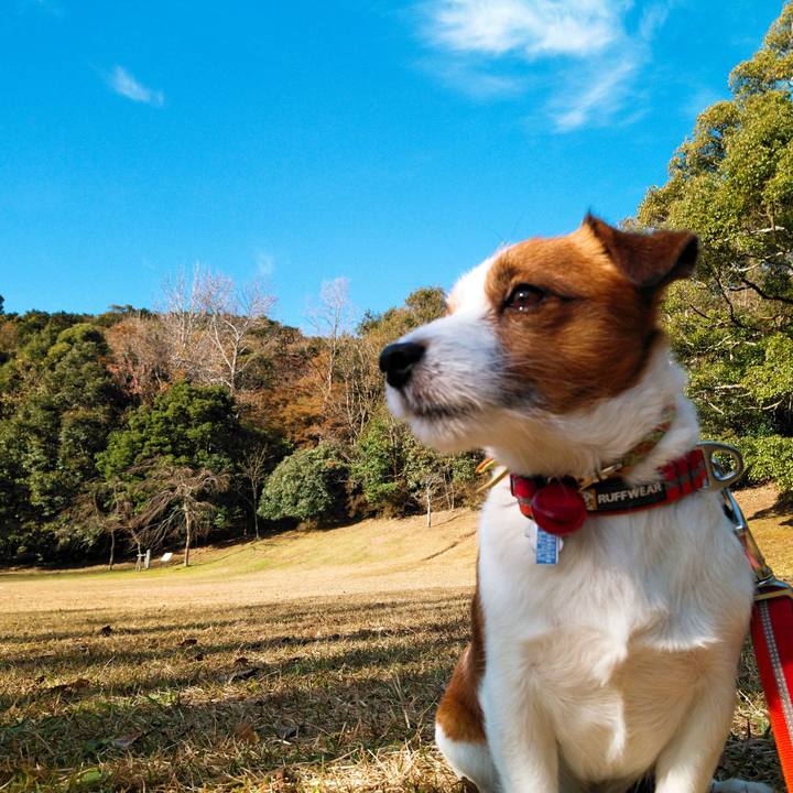 F3481b42 4c54 42bd a1a9 676052c74464 1543055894884