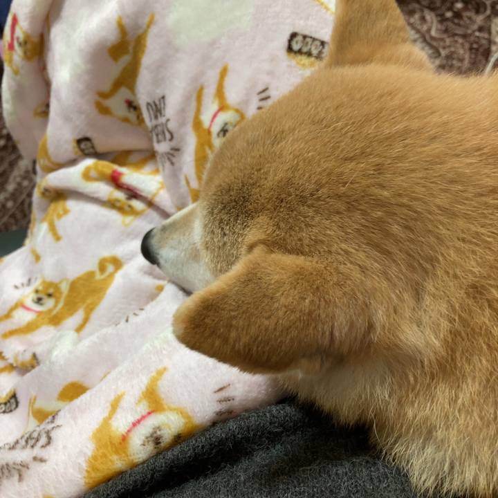 F34843c9 1ef7 409f a899 c61ecdcb9bdb 1614388070406