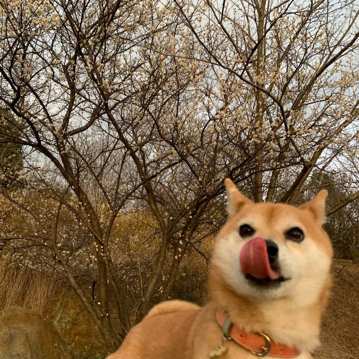 F3485b78 47f7 46b7 a02d a9b01c6275d1 1580461925002