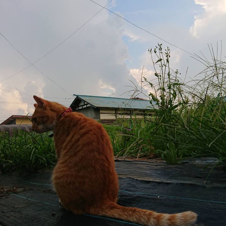 F3487be9 37d5 48d0 9db2 4792e00894ce 1598171854551