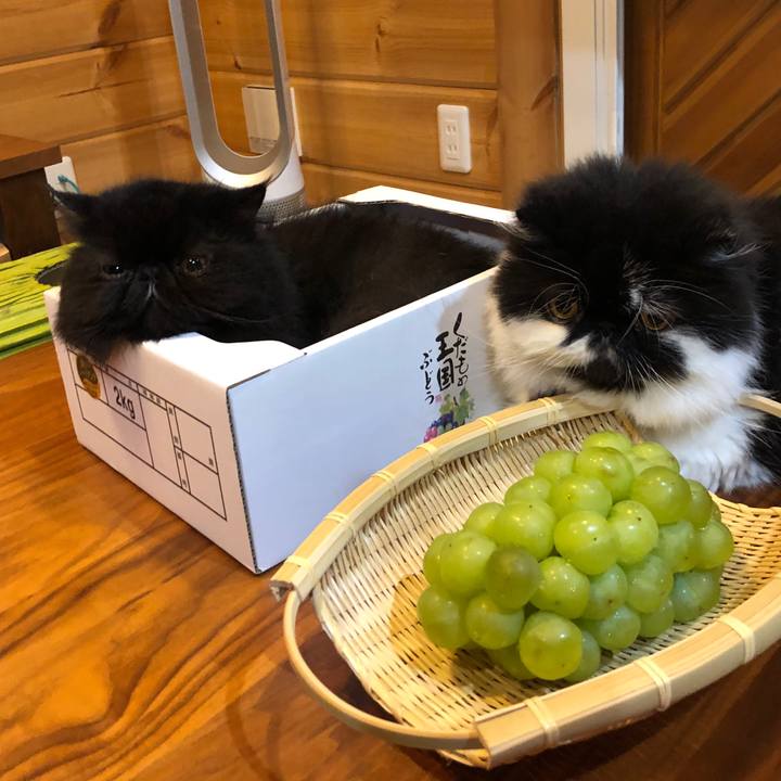 F3488070 e5d9 4c27 9107 33acdc159e3d 1570202101020