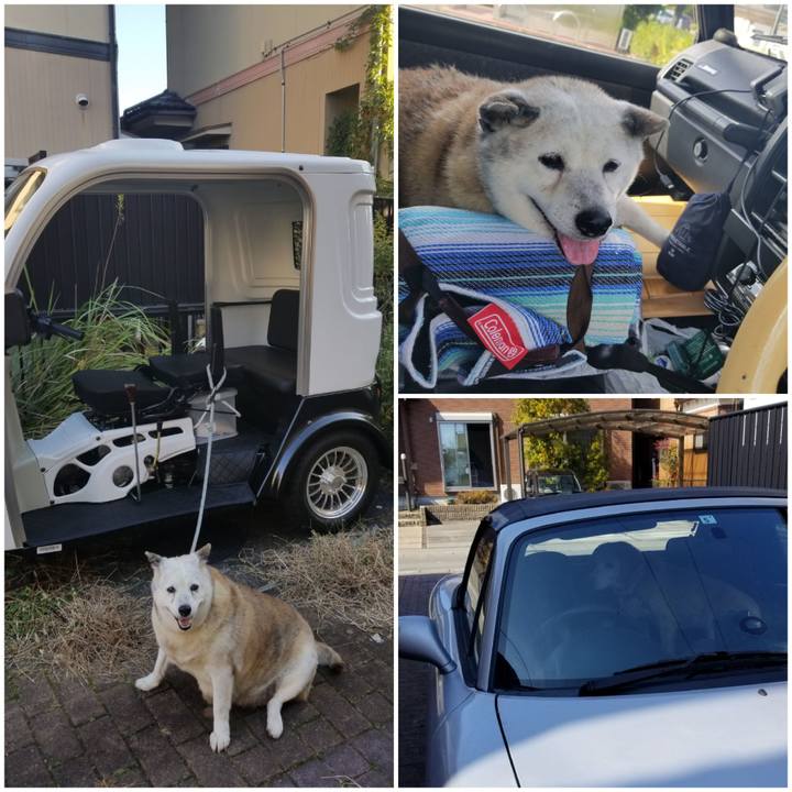 F348c9e9 63cd 4843 a3a2 c5e78a89234c 1754832141160