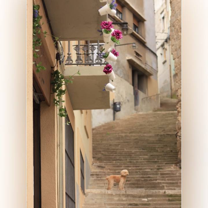 F348ddc9 6244 4545 8654 aea3a4593e8e 1527016209315