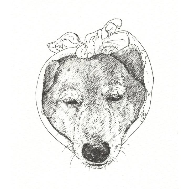 F349083a 8248 4764 ae72 639f40fb97fc 1565533885218