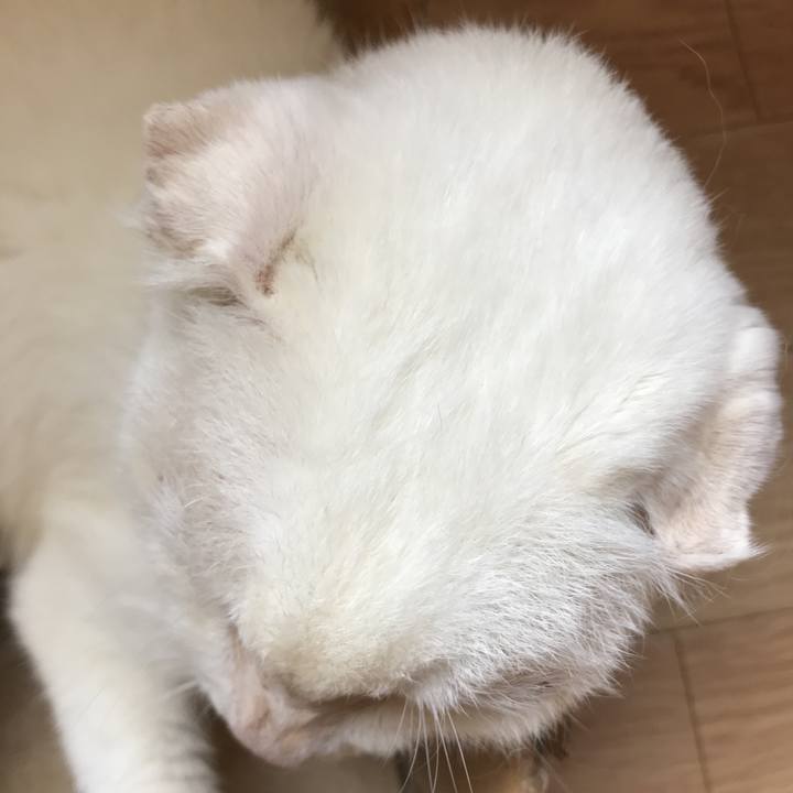 F34919a6 8292 44fc 8b8b 8139af98da19 1570411363788