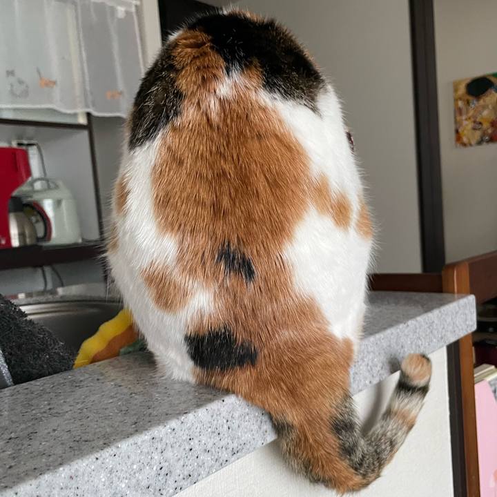 F3494c3b f94c 409e 9128 54ae79f59f50 1741735702063