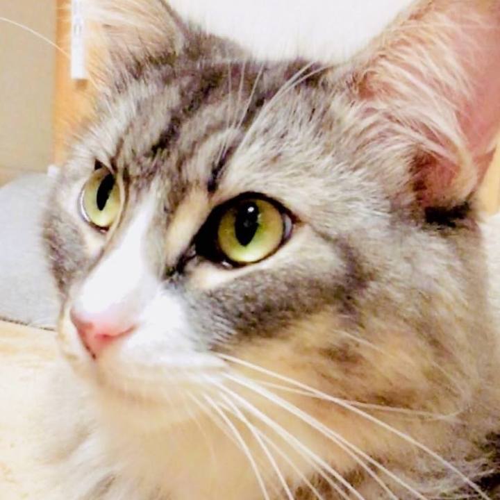 F3496804 170d 4ab4 a07b 978af3110c7a 1758296701339