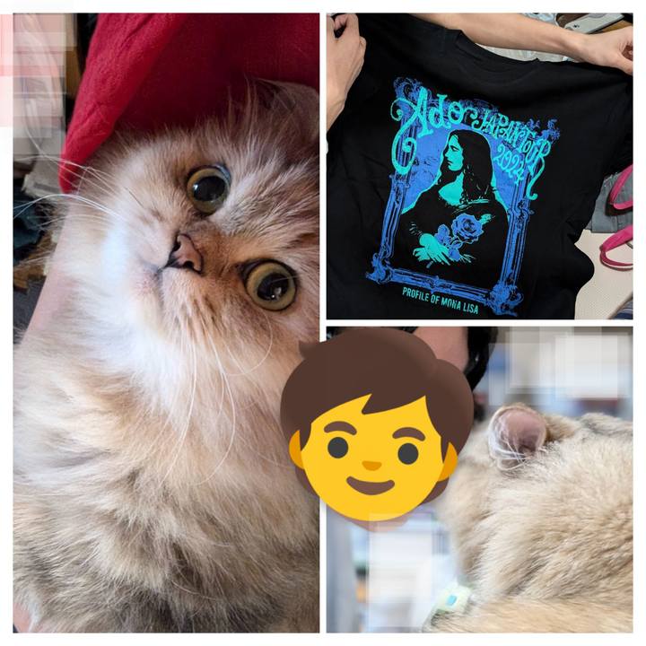 F3496e39 3f80 495c 9827 13aa04c63e8f 1726065037508