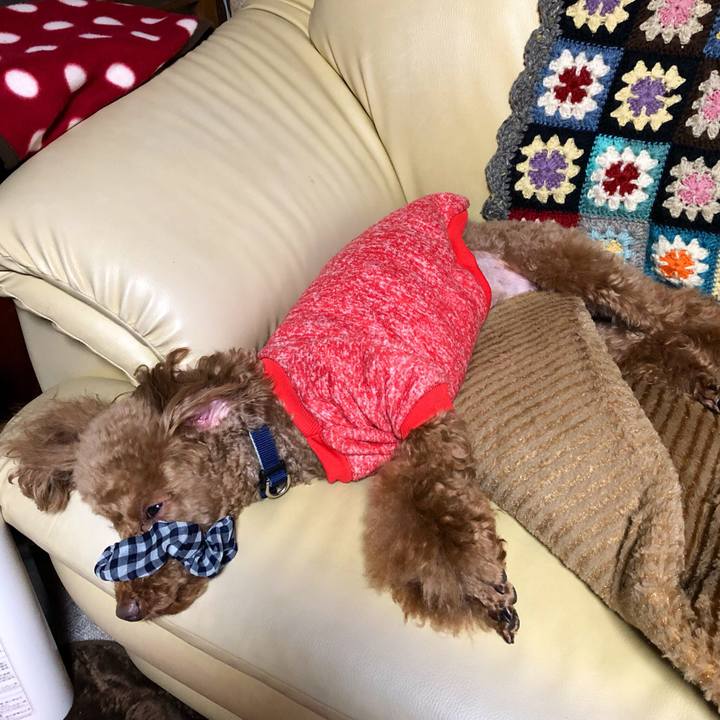 F34970d8 8ee8 4e41 a597 9b06fe440e6d 1553930393464