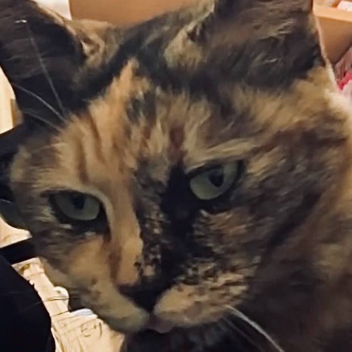 F349839a f559 4f44 b9cf 9c77e08b7617 1738842786989