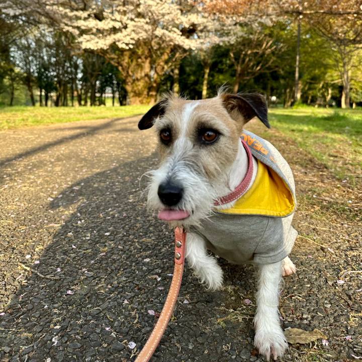 F349b980 4368 4ad5 833f e6db7324ac48 1713021313432