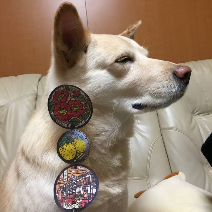 F34a24eb 4279 4a25 a15a 761a995b4e72 1518091249490