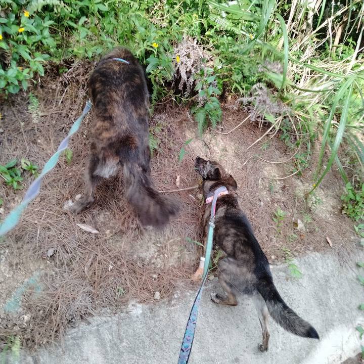 F34a2848 9f07 4a42 b0d3 a96c43ea4f04 1627379103401