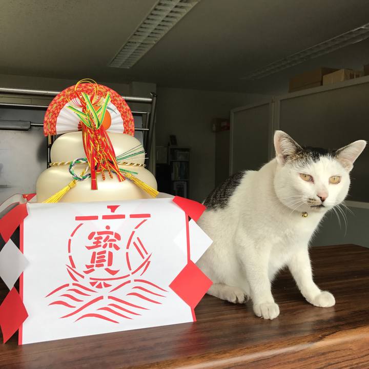 F34a3845 6068 4e28 8d41 2e5dbf3511c9 1515463541763