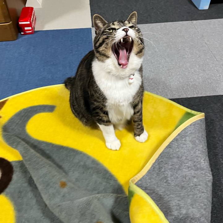 F34a81bf aace 4807 ab5c 23fa4dbf2173 1767656839194