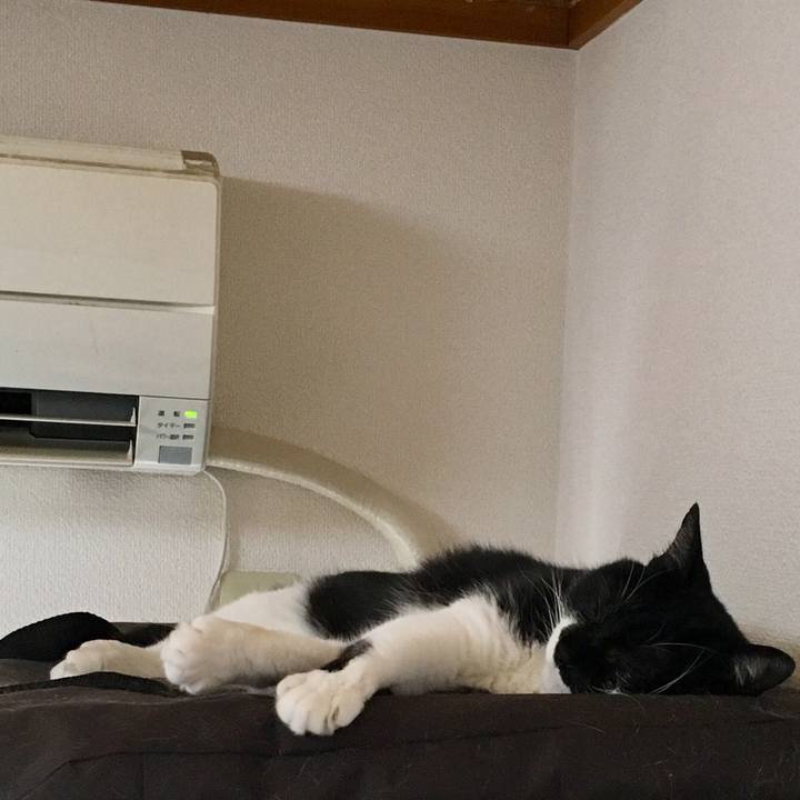 F34af059 5075 4d42 840b aac605ce032a 1532933258750