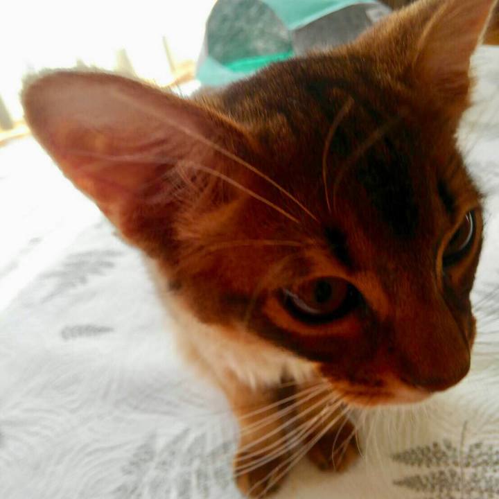 F34b3a2e 431a 4ee3 80ea 8b3e6b03a00a 1573866492707