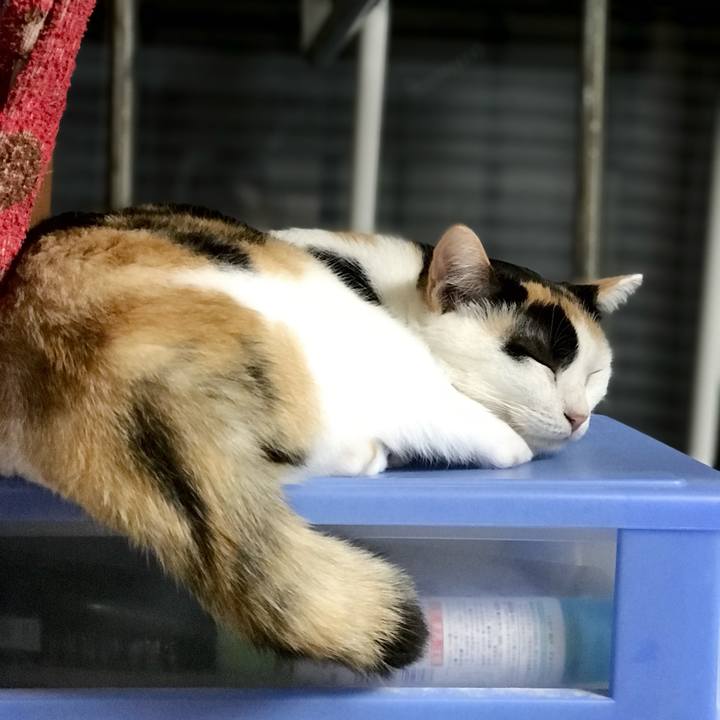 F34b4241 f501 424a b401 928c2294cf91 1538061828241