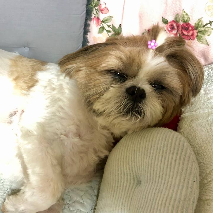 F34b4ece fa2b 4e4d b66f b94429500dc1 1565421771677