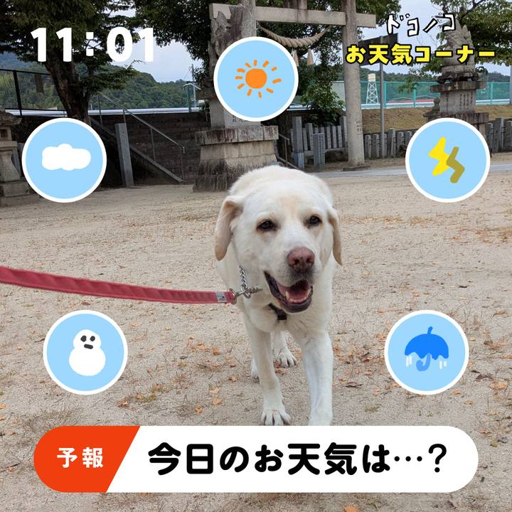 F34b796a 9cfb 41e8 97b8 4994a3d1287d 1781651997647